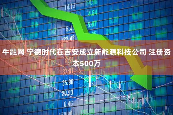 牛融网 宁德时代在吉安成立新能源科技公司 注册资本500万