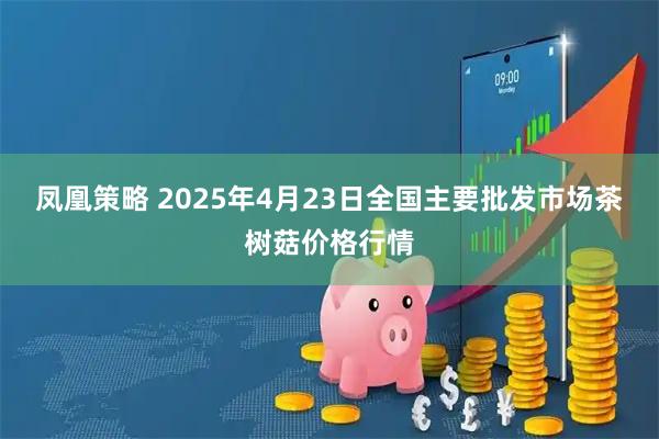 凤凰策略 2025年4月23日全国主要批发市场茶树菇价格行情