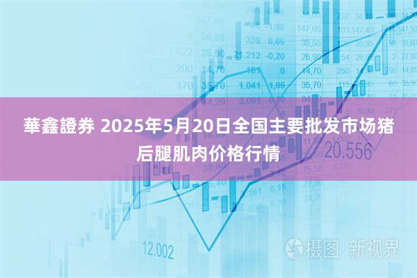 華鑫證券 2025年5月20日全国主要批发市场猪后腿肌肉价格行情