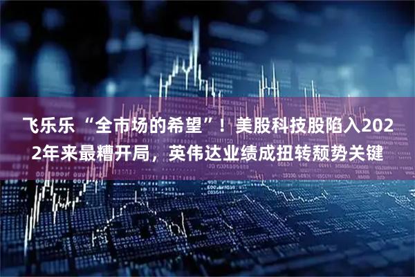 飞乐乐 “全市场的希望”！美股科技股陷入2022年来最糟开局，英伟达业绩成扭转颓势关键